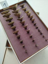 Linien- und Bogensatz